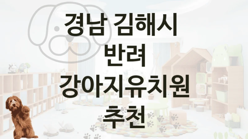경남 김해시 
반려 강아지유치원 추천
