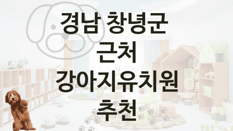 경남 창녕군 
근처 강아지유치원 추천