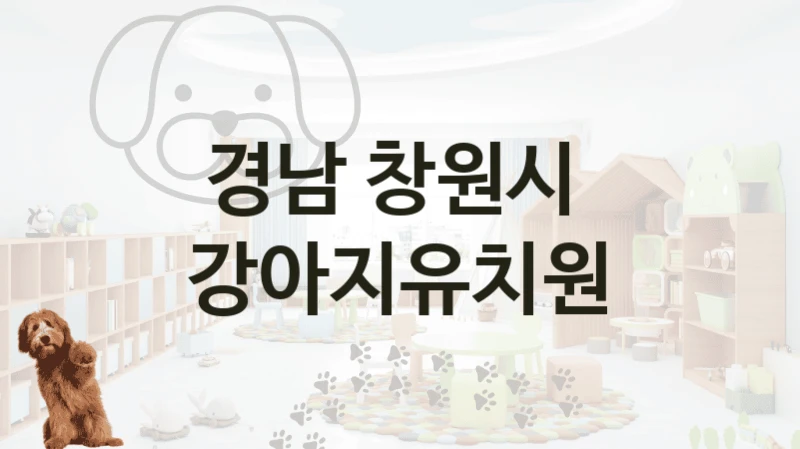 경남 창원시 
 강아지유치원