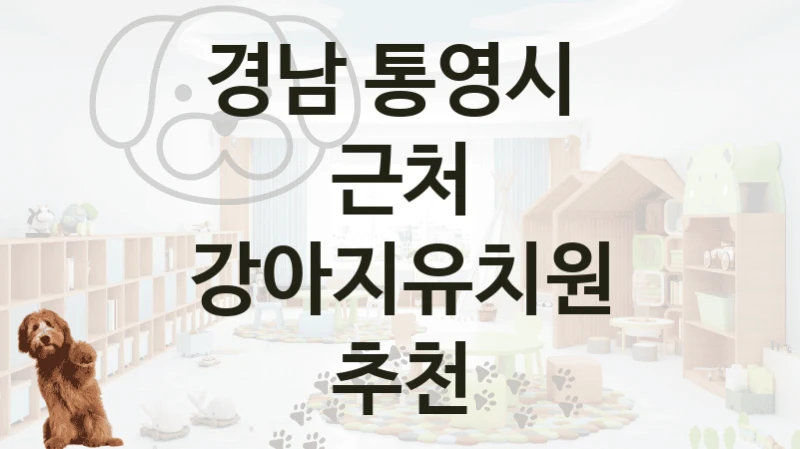 경남 통영시 
근처 강아지유치원 추천