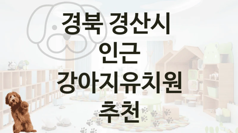 경북 경산시 
인근 강아지유치원 추천