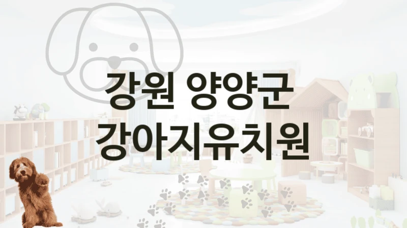 양양군   강아지유치원 놀이터안내, 케어가격