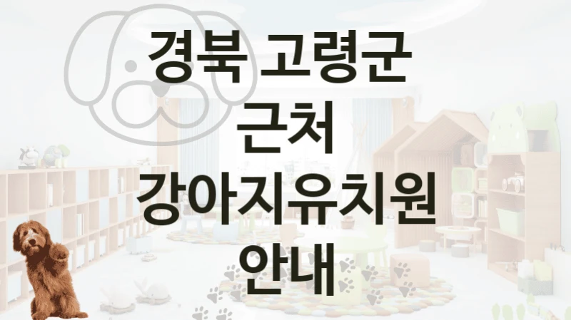 경북 고령군 
근처 강아지유치원 안내