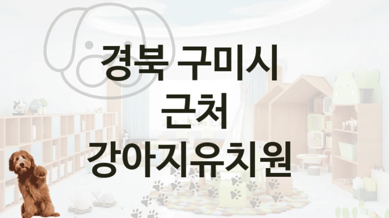 경북 구미시 
근처 강아지유치원