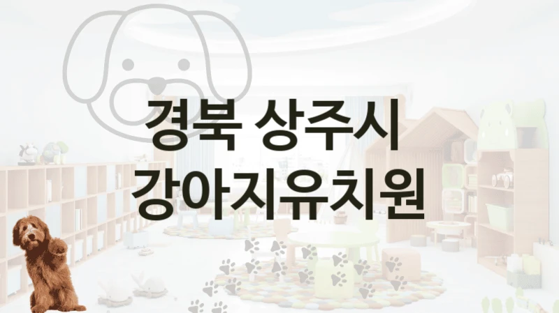 경북 상주시 
 강아지유치원