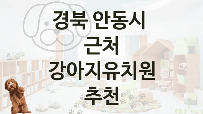경북 안동시 
근처 강아지유치원 추천