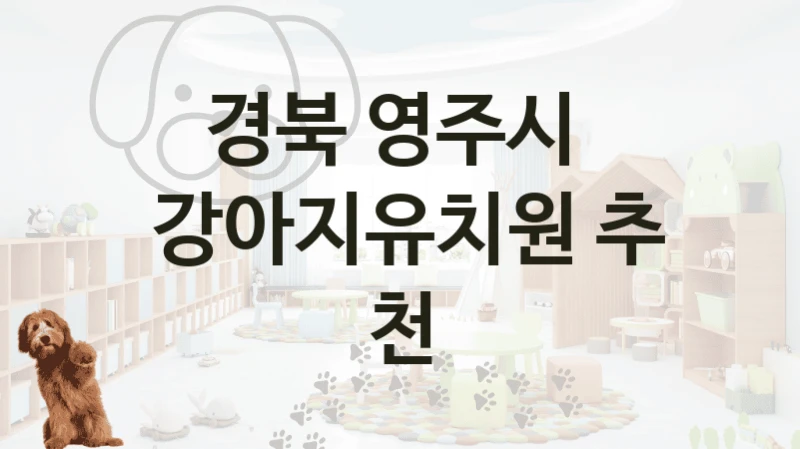 경북 영주시 
 강아지유치원 추천