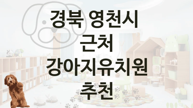 경북 영천시 
근처 강아지유치원 추천