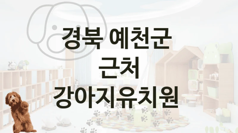경북 예천군 
근처 강아지유치원