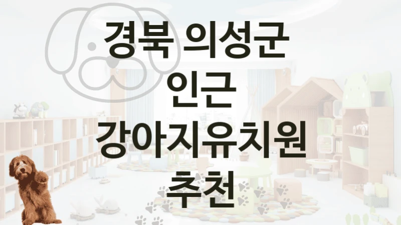 경북 의성군 
인근 강아지유치원 추천