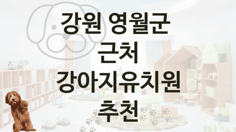 영월군 후기 좋은  강아지유치원 안내, 가격
