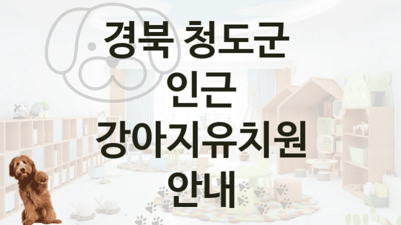 경북 청도군 
인근 강아지유치원 안내