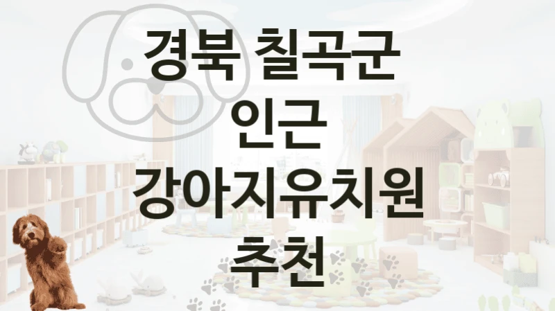 경북 칠곡군 
인근 강아지유치원 추천