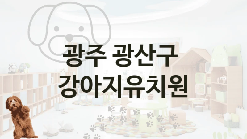 광주 광산구 
 강아지유치원