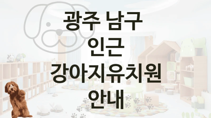 광주 남구 
인근 강아지유치원 안내