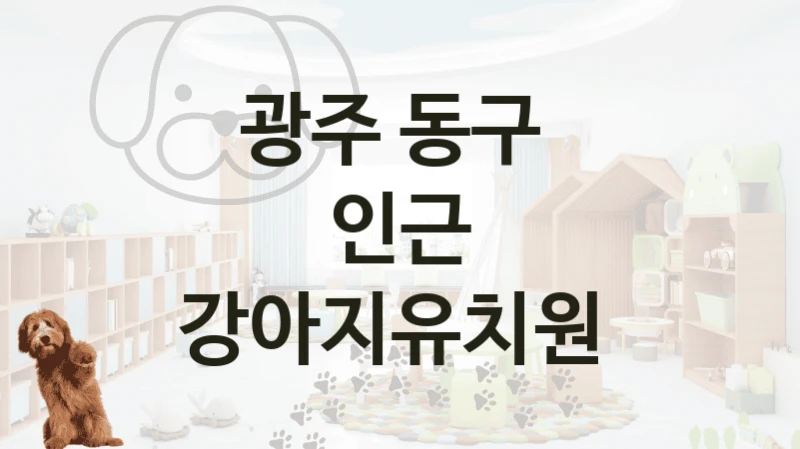 광주 동구 
인근 강아지유치원