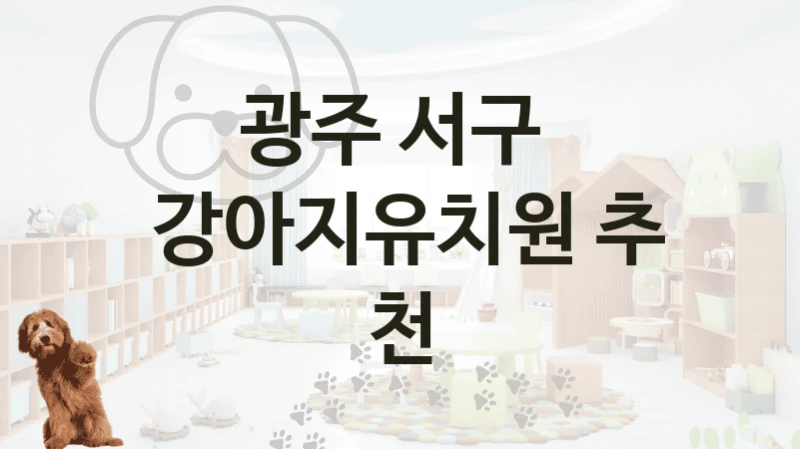 광주 서구 
 강아지유치원 추천