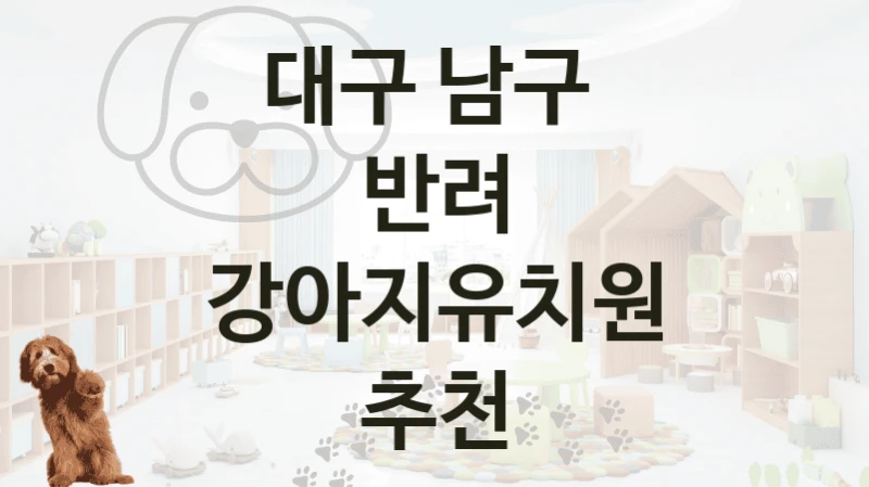 대구 남구 
반려 강아지유치원 추천