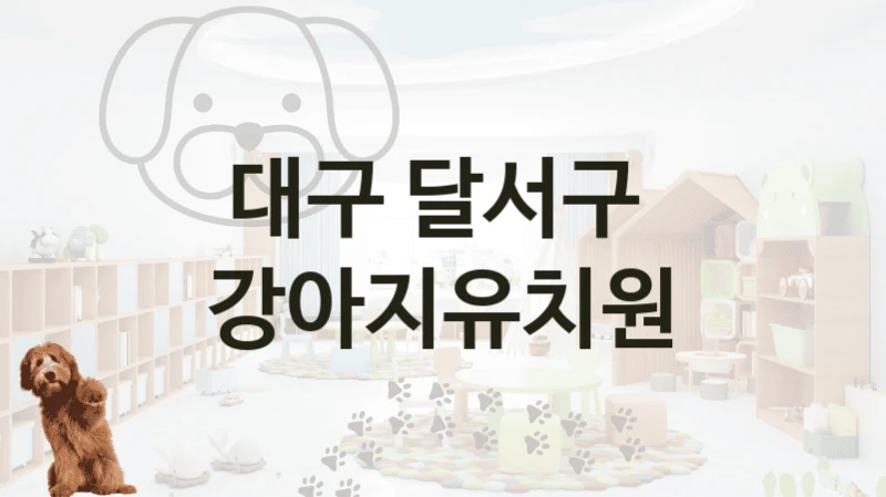 대구 달서구 
 강아지유치원