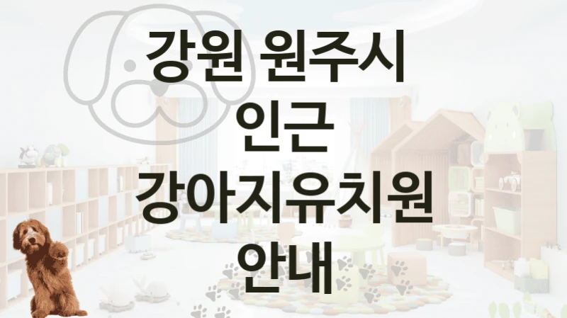 강원 원주시 
인근 강아지유치원 안내