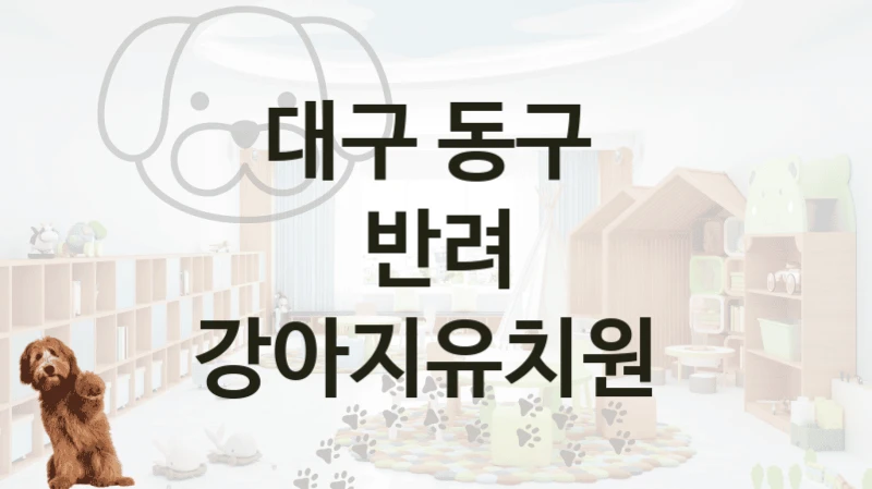대구 동구 
반려 강아지유치원