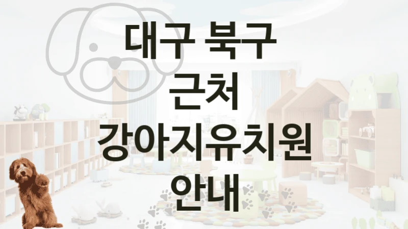 대구 북구 
근처 강아지유치원 안내