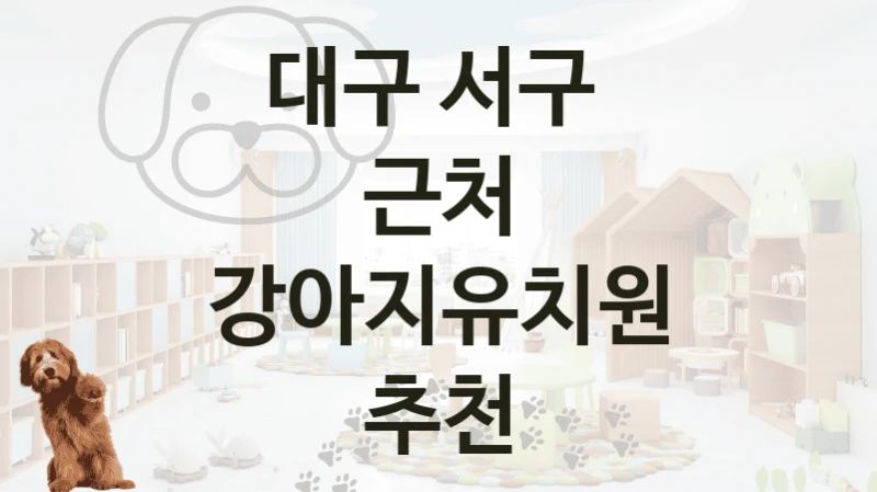 대구 서구 
근처 강아지유치원 추천