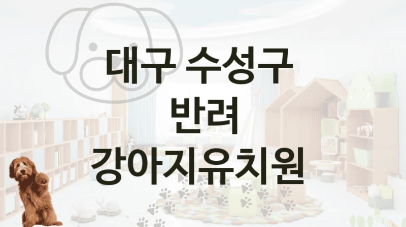 대구 수성구 
반려 강아지유치원
