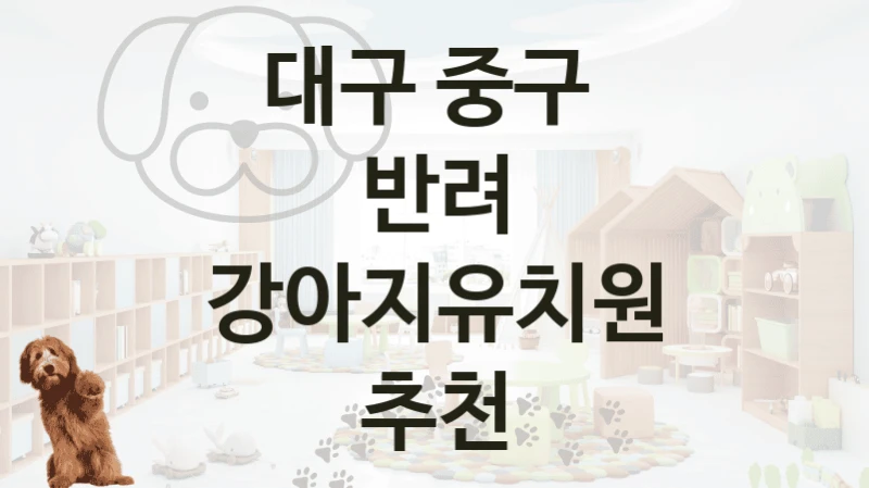 대구 중구 
반려 강아지유치원 추천