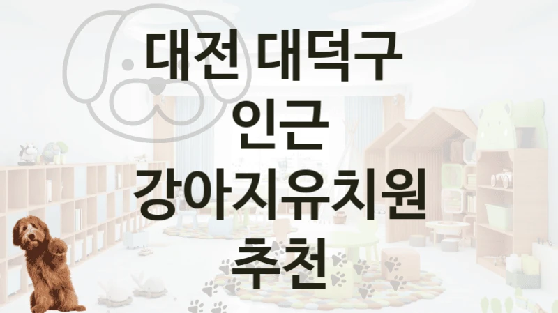 대전 대덕구 
인근 강아지유치원 추천