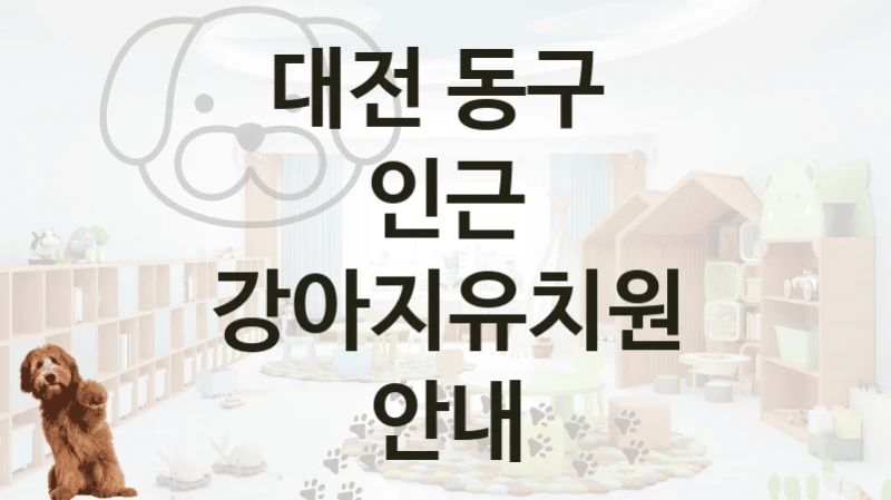 대전 동구 
인근 강아지유치원 안내