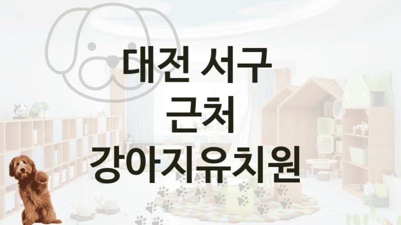 대전 서구 
근처 강아지유치원