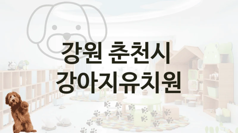 강원 춘천시 
 강아지유치원