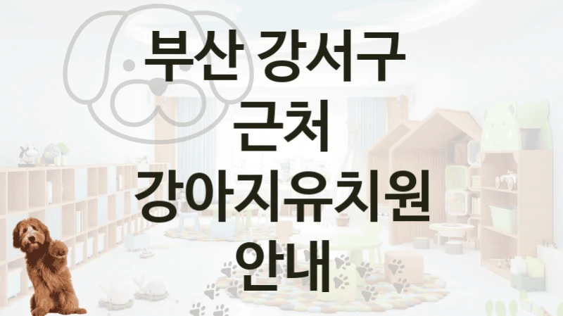 부산 강서구 
근처 강아지유치원 안내