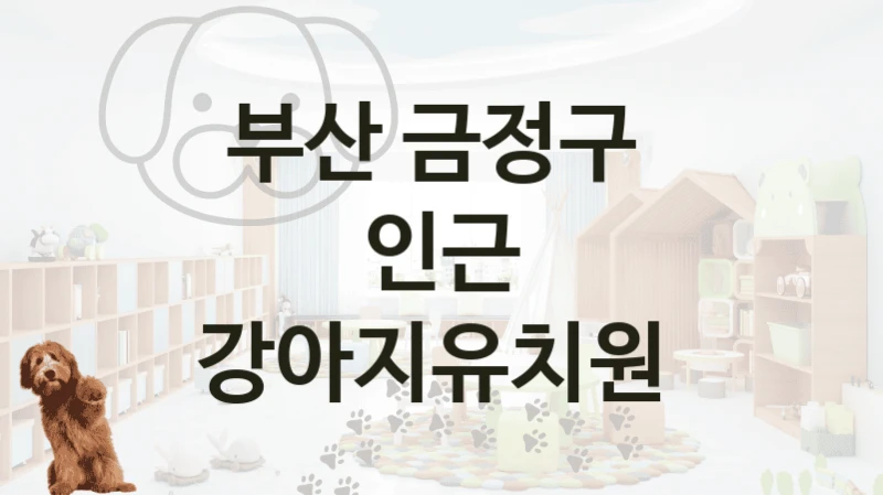 부산 금정구 
인근 강아지유치원