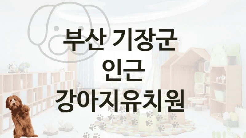 부산 기장군 
인근 강아지유치원