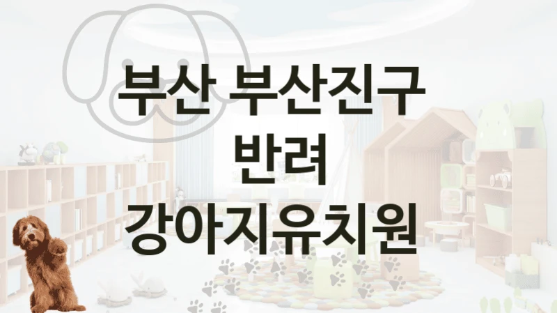 부산 부산진구 
반려 강아지유치원