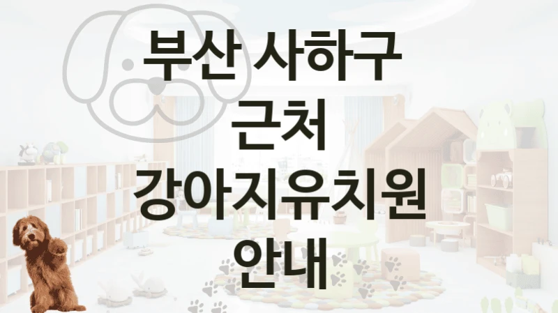 부산 사하구 
근처 강아지유치원 안내