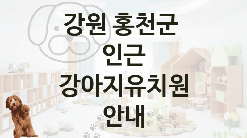 강원 홍천군 
인근 강아지유치원 안내