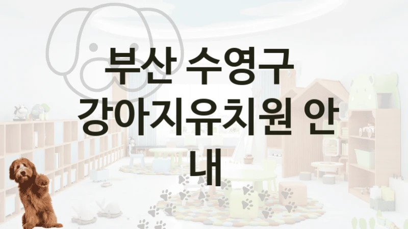 부산 수영구 
 강아지유치원 안내