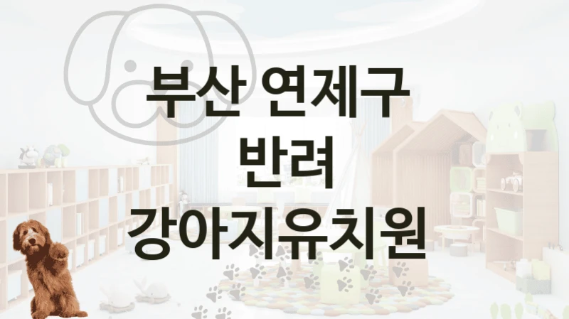 부산 연제구 
반려 강아지유치원
