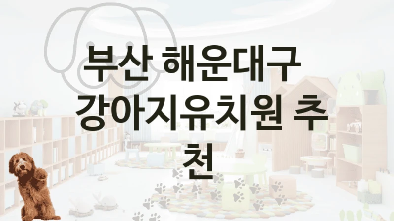 부산 해운대구 
 강아지유치원 추천