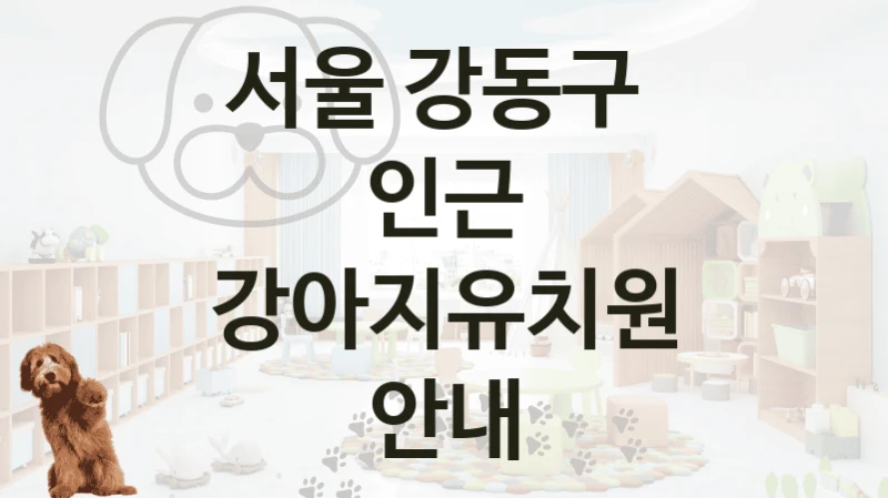 서울 강동구 
인근 강아지유치원 안내