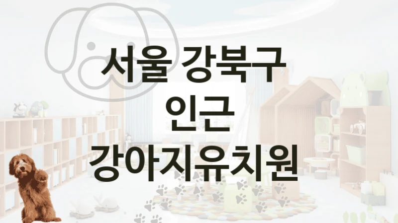 서울 강북구 
인근 강아지유치원