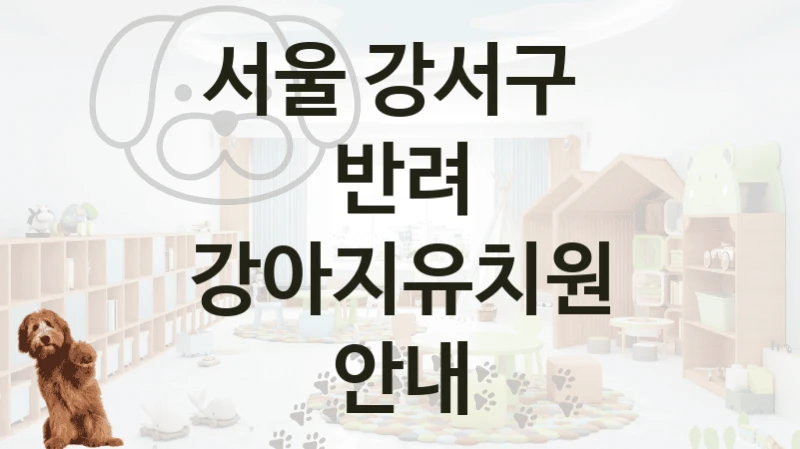 서울 강서구 
반려 강아지유치원 안내