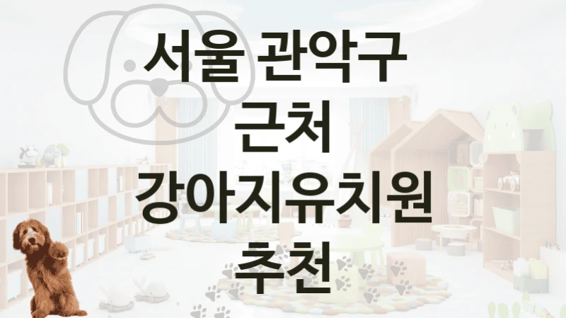 서울 관악구 
근처 강아지유치원 추천