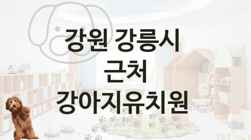 강원 강릉시 
근처 강아지유치원