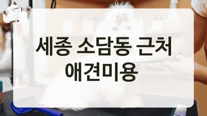 세종 소담동 근처 애견미용