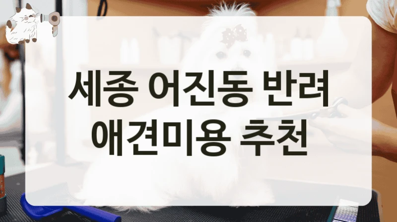 세종 어진동 반려 애견미용 추천