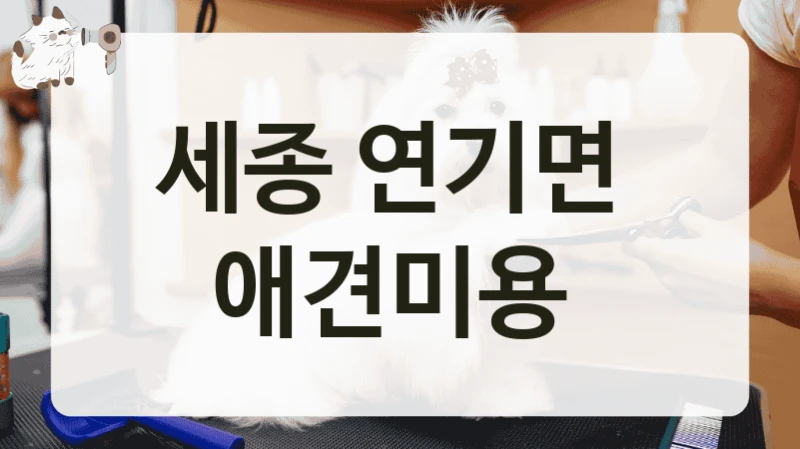 세종 연기면  애견미용